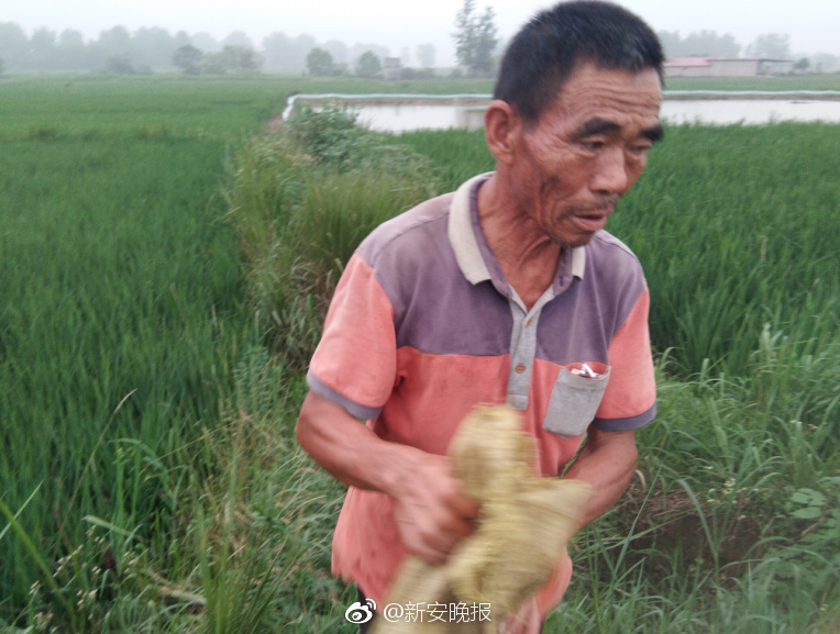 极限竞速地平线5游戏黑屏闪退怎么办