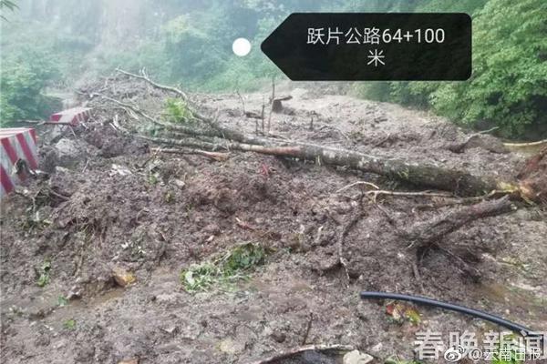 异度神剑3武翔士有什么被动技能