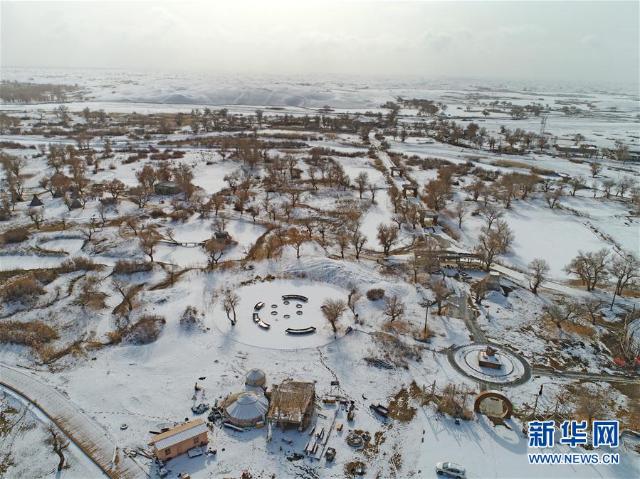 艾尔登法环献斗盾护符怎么获得